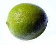 Citrus Fruit 